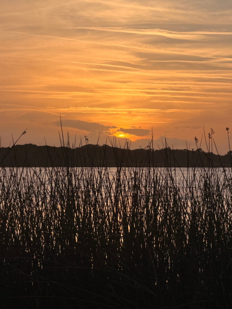 img_8297