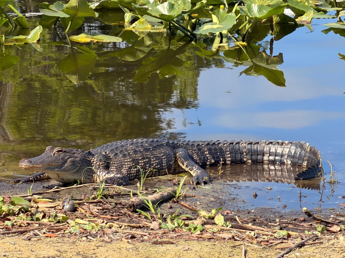 Turning up the&nbsp;Heat