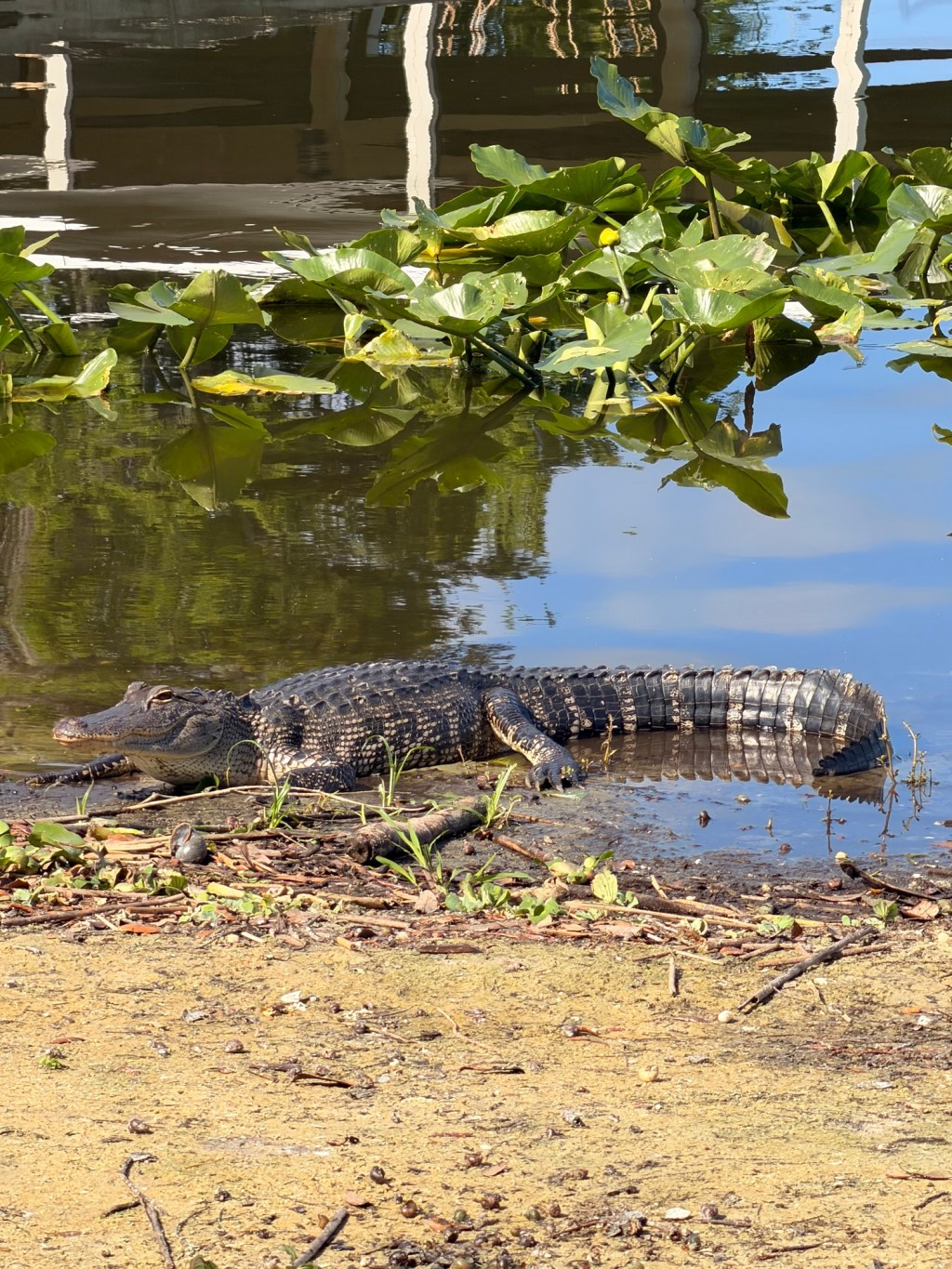 Turning up the&nbsp;Heat